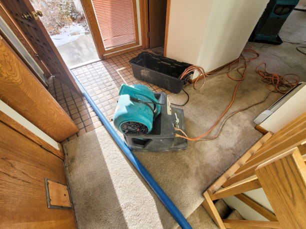 Best Water damage mitigation services  in Spearfish, SD