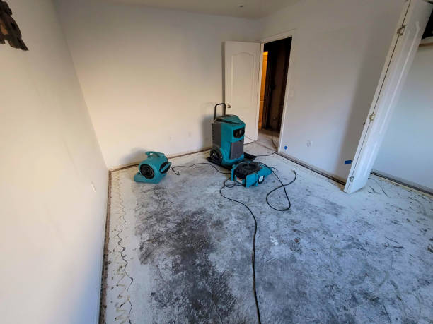 Best Local water damage restoration  in Spearfish, SD