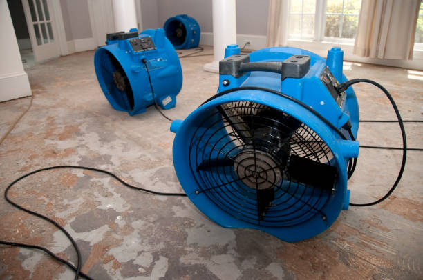 Trusted SD Water damage restoration Experts