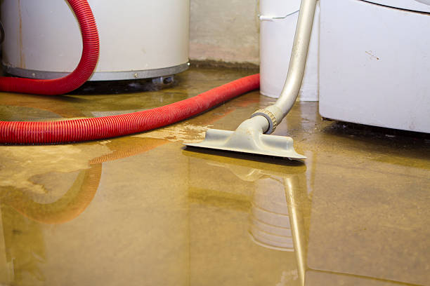 Best 24/7 water damage repair  in Spearfish, SD