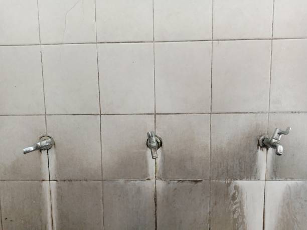 Best Commercial water damage restoration  in Spearfish, SD