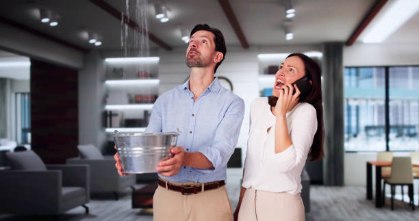 Best Sewage cleanup and water damage restoration  in Spearfish, SD