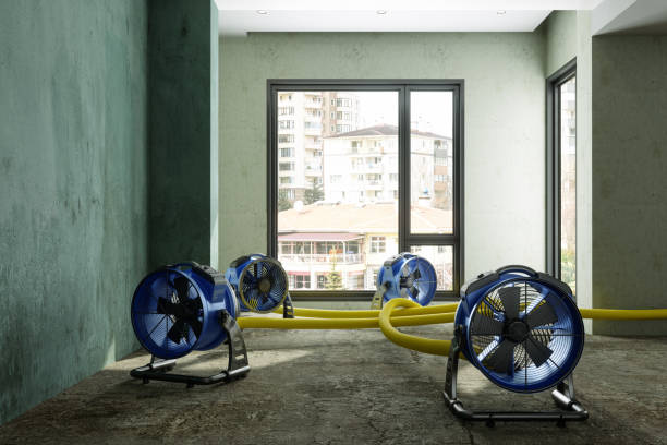 Best Carpet water damage restoration  in Spearfish, SD