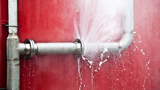 Best Flood damage cleanup  in Spearfish, SD
